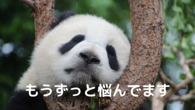 パンダ