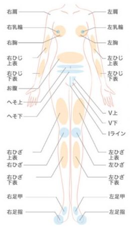ストラッシュ部分脱毛のパーツ